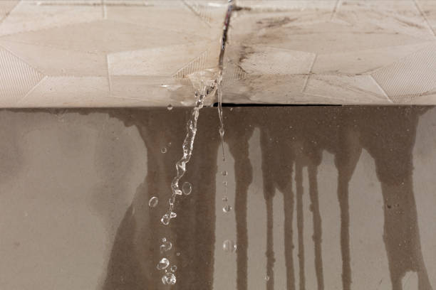 Professional Structural Drying technician working in Etters, PA